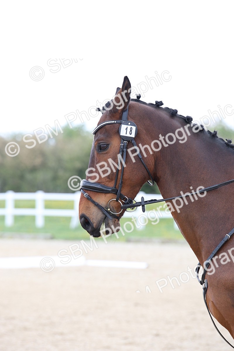 SBM_006399 - Class 1-3 - Intro 1 Lead Rein-Intro 4