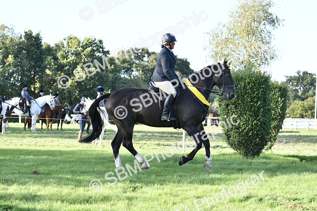 SBM_51704 - Working Hunter Supreme Championship