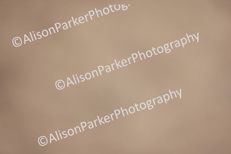 20260415-0393 - Class 6 - Novice 3