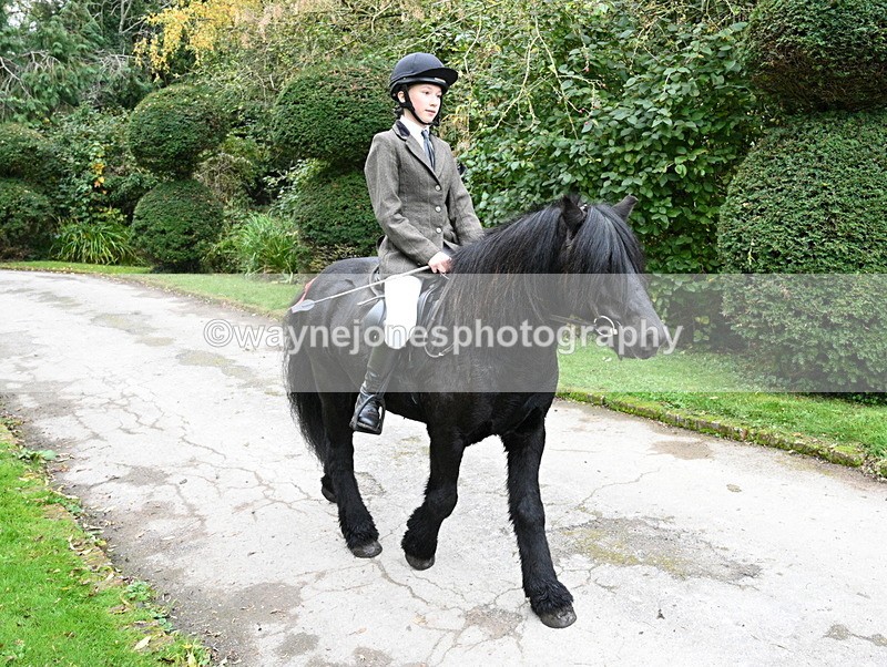 WJ7_6521 - Berks & Bucks - Children's Meet - The Old Farmhouse – Steventon.