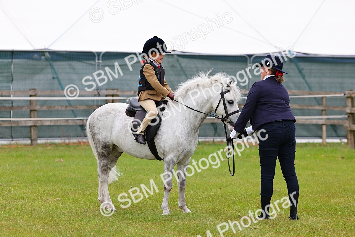 SBM_08143 - Class 42-43 - LIHS BSPS Heritage Working Sports Pony