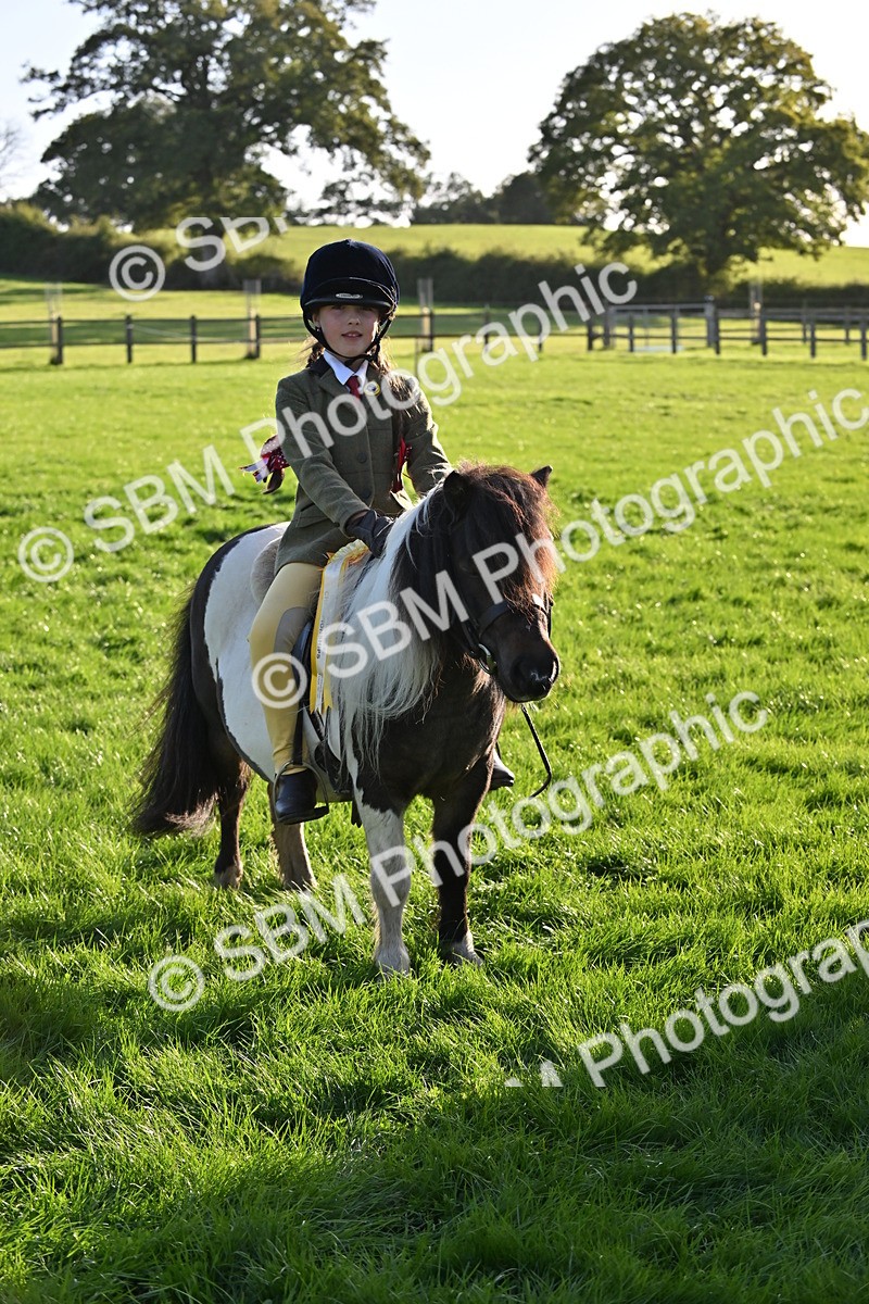 SBM_53084 - S23 - First Ridden Mountain & Moorland Pony