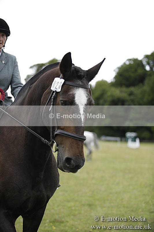 BVR160717-2120 - Ridden Championship 16/07/17