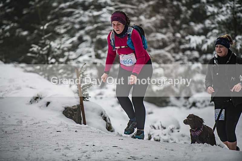 Glentress-900 - High Terrain Events Glentress 42, 21 & 10K Trail Races Sunday 15th February 2026