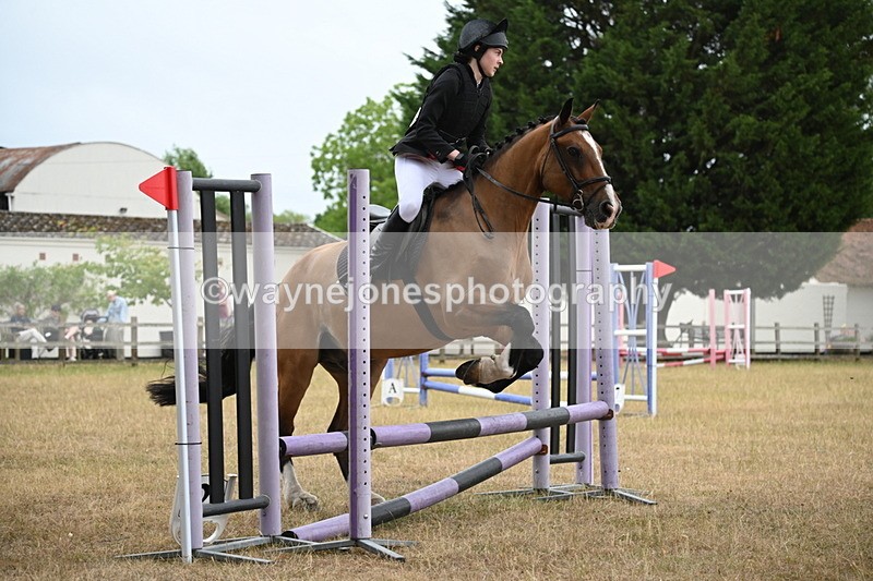 WJ6_0166 - Class 13 Novice Jumping 60cm