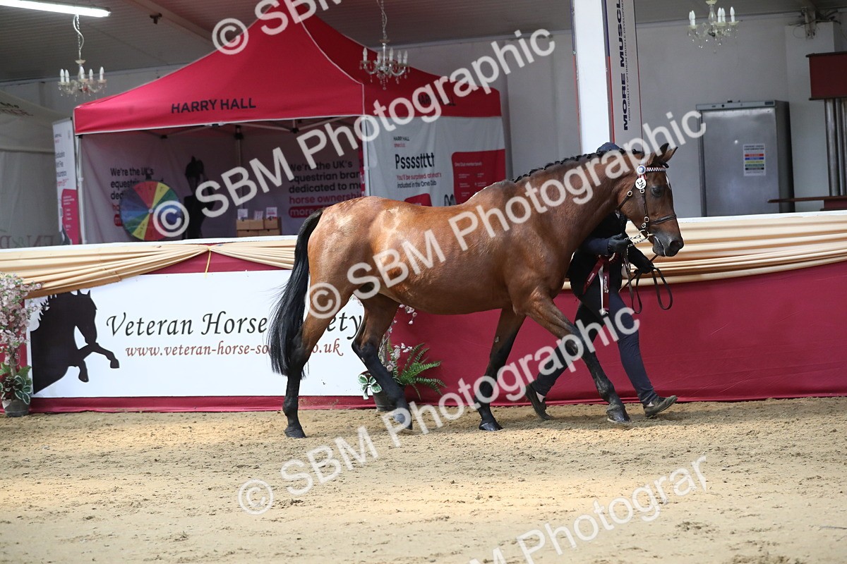 SBM_04507 - Class 7R Regional - IH Diamond