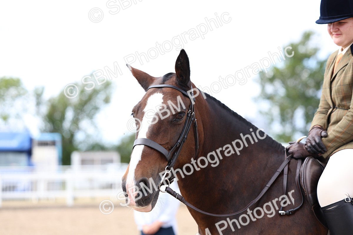 SBM_15836 - Class 314 - Family Horse - Pony