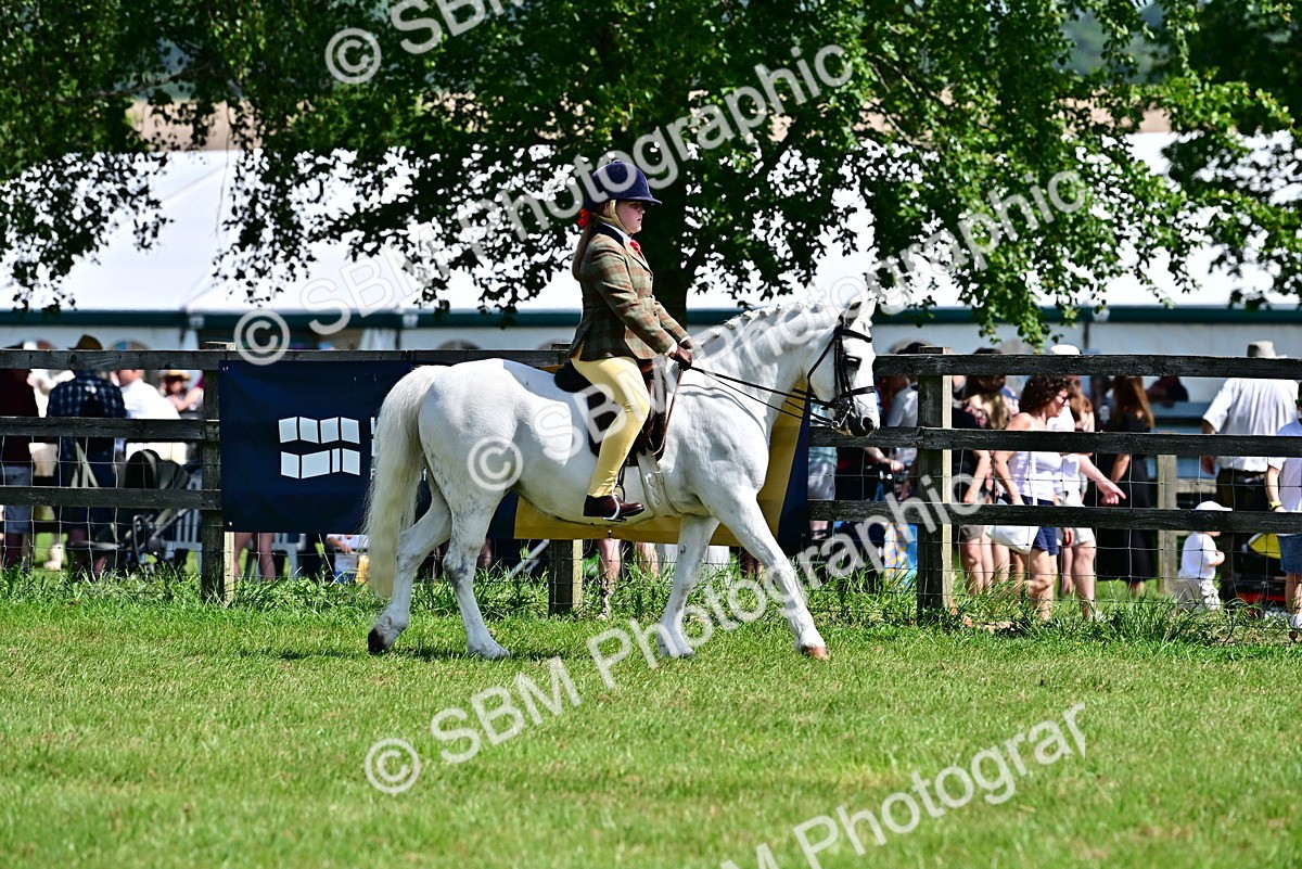 SBM_13861 - Class 95-97 - BSPS LHS Performance Ponies