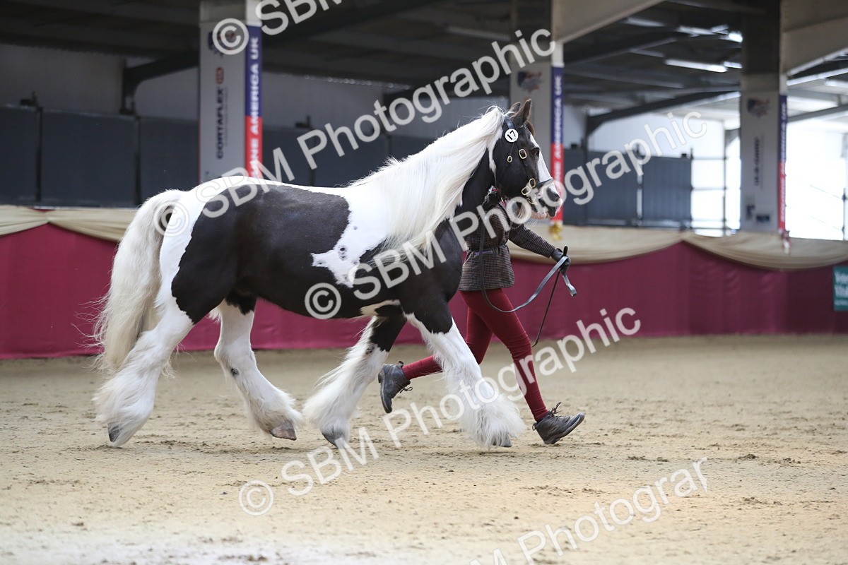 SBM_01320 - Class 3a Area IH Pre Vet