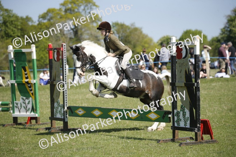 20250427-2199 - Class 13 - Novice Jumping 60cm