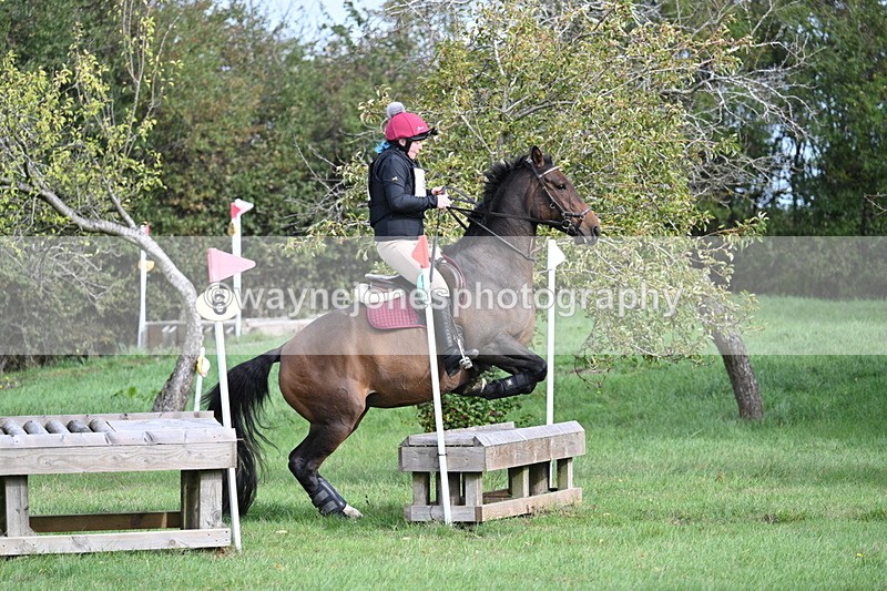 WJ7_8308 - 60cm Pairs