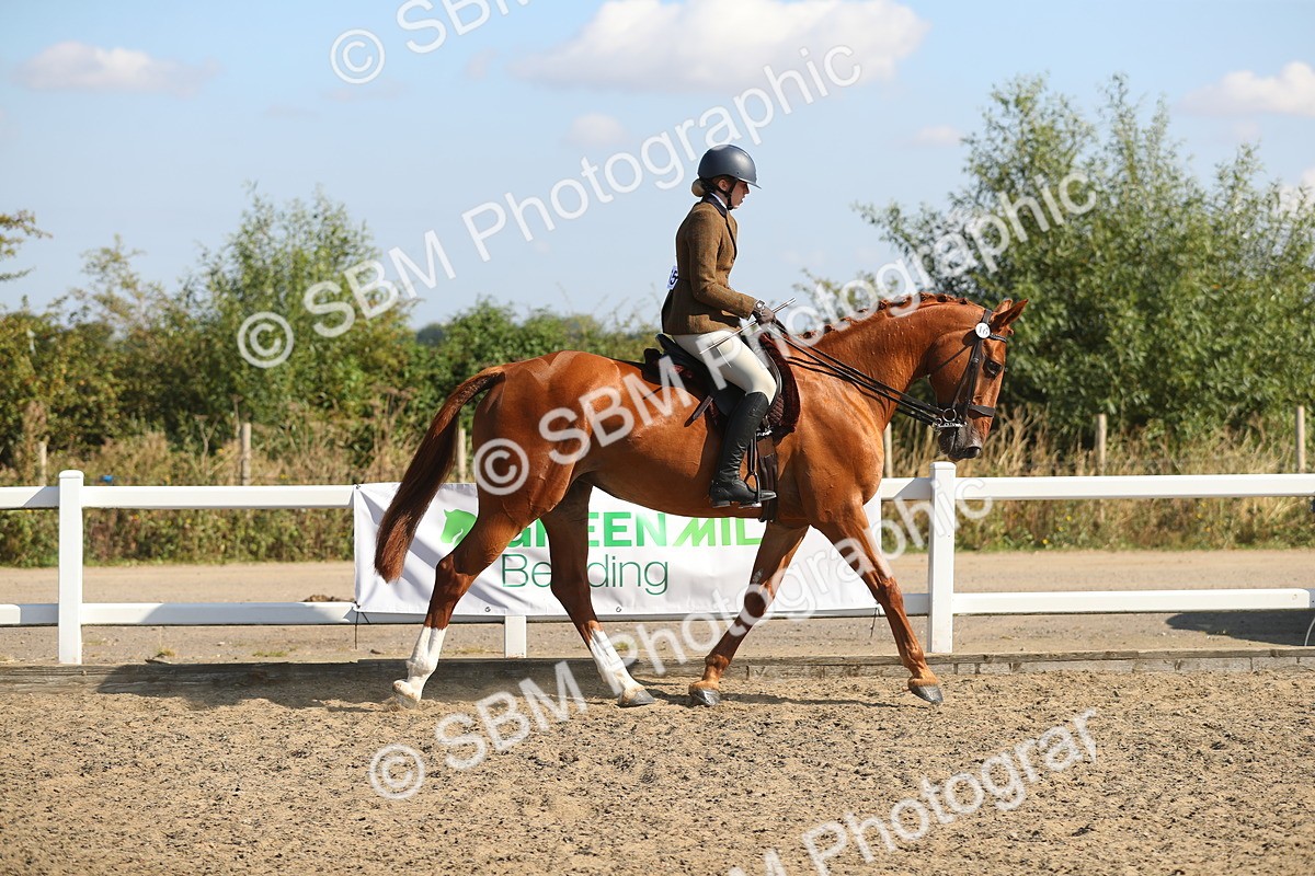 SBM_02206 - Class 43 Ridden Competition Horse/Pony