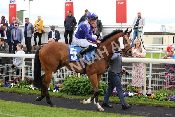 yr22052022r3-23 - Race 3: 4:35pm Sky Bet Sunday Series Dash