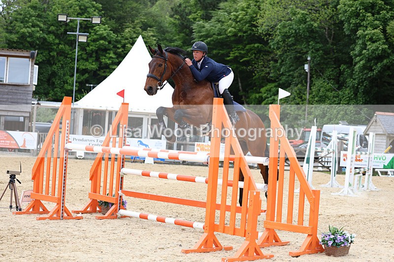 3E7A9691 - Class 9: Senior Foxhunter/1.20 open