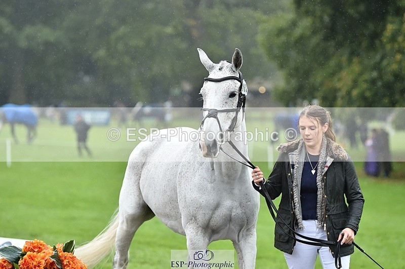 231018-121234-00137 - 063-TOMGAR.GRACE-Annie.Smith-TrotUp