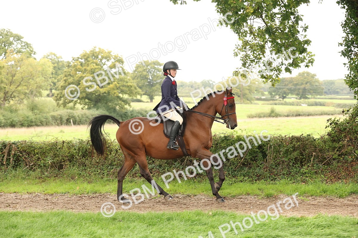 SBM_64211 - S65 - Riding Horse & Hack & Thoroughbred Ridden