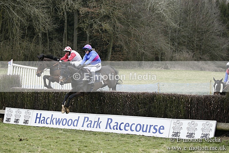 PtP 110318 155 - Hampshire Hunt Point-to-Point Hackwood Park 11/03/18