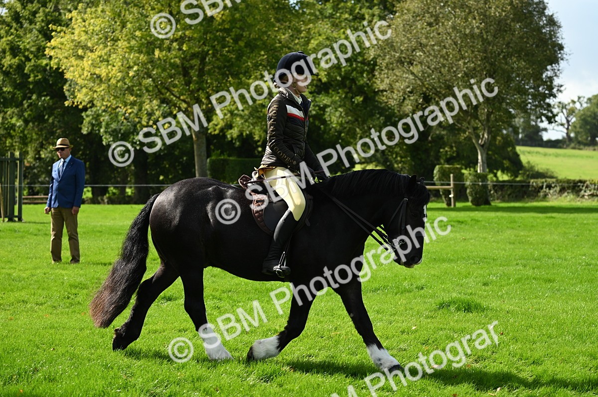 SBM_02734 - S3 - TSR Ridden Pony Showing