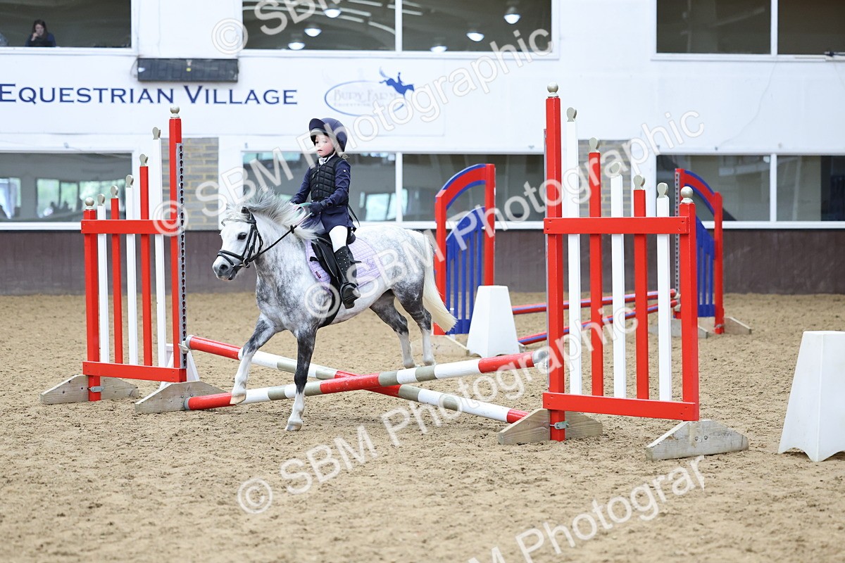 SBM_007380 - Class 2 - 50cm showjumping