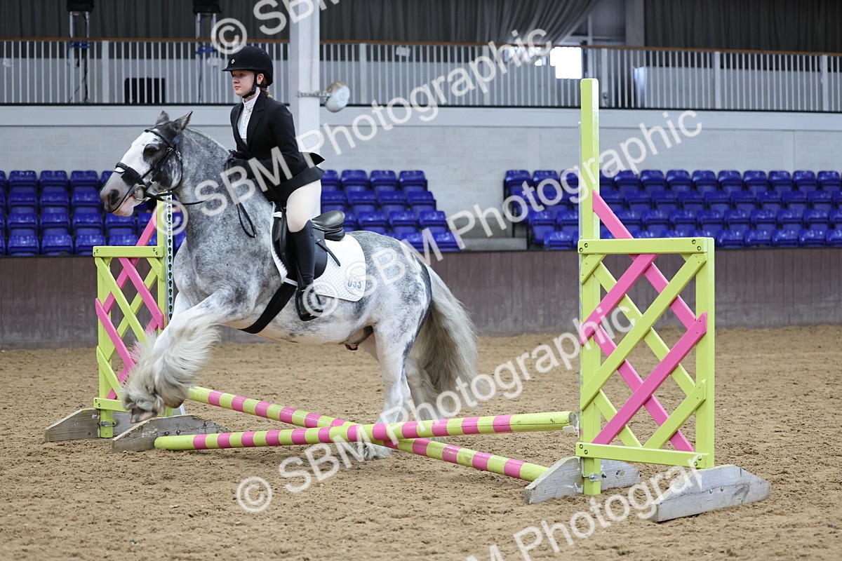 SBM_006905 - Class 1 - 40cm showjumping