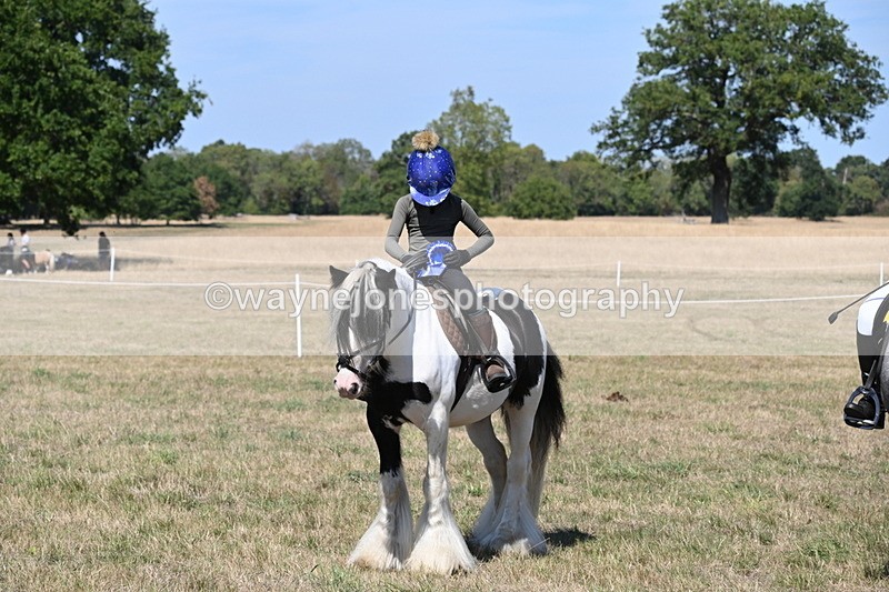 WJ6_9088 - Class 38 Ridden Riding Horse/Pony