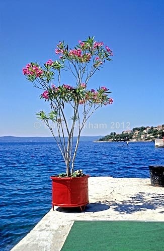 Croatia - Travel & Landscape