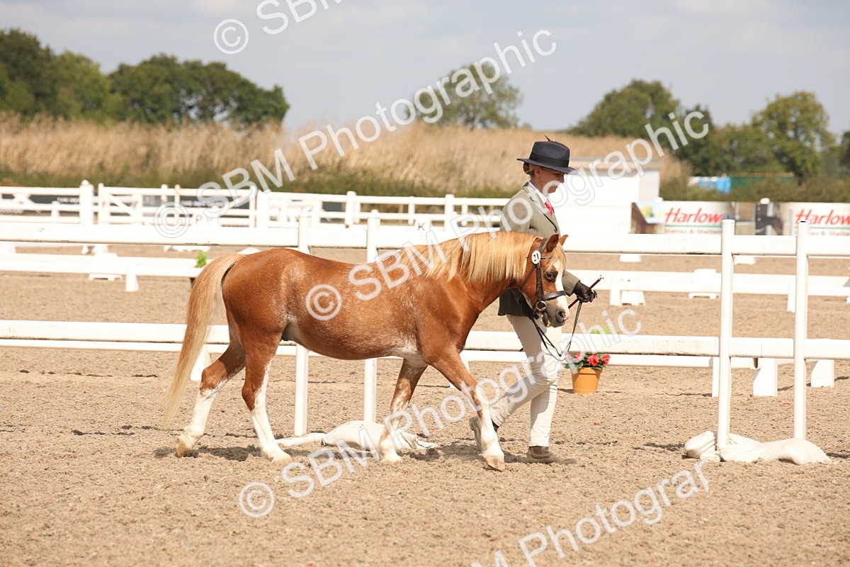 SBM_04525 - Class 20 IH Veteran
