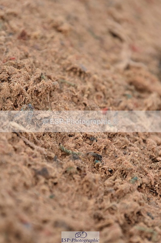 231028A-144418-02026 - Cls 6+7 Pony 1.15m and 148cm Restricted