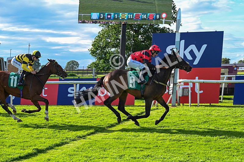 310526-Race 6-Mountain Road-9301 - Race 6 18.15pm Sky Bet For The Fans Handicap