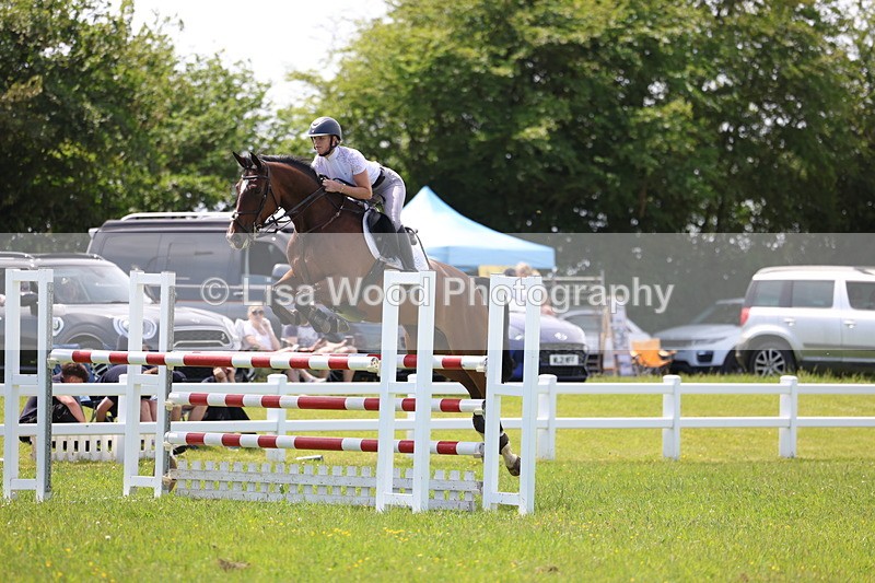 3E7A1361 - Class 12: Senior Foxhunter/1.20 open