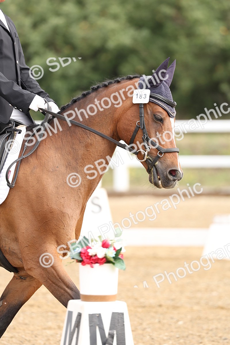 SBM_005428 - Class 6 - Novice 6 - 9.30-10.12