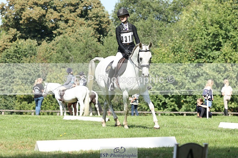 250823A-112002-27928 - Arena D