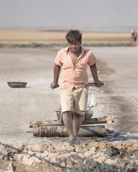India A-39 - Peoples of India