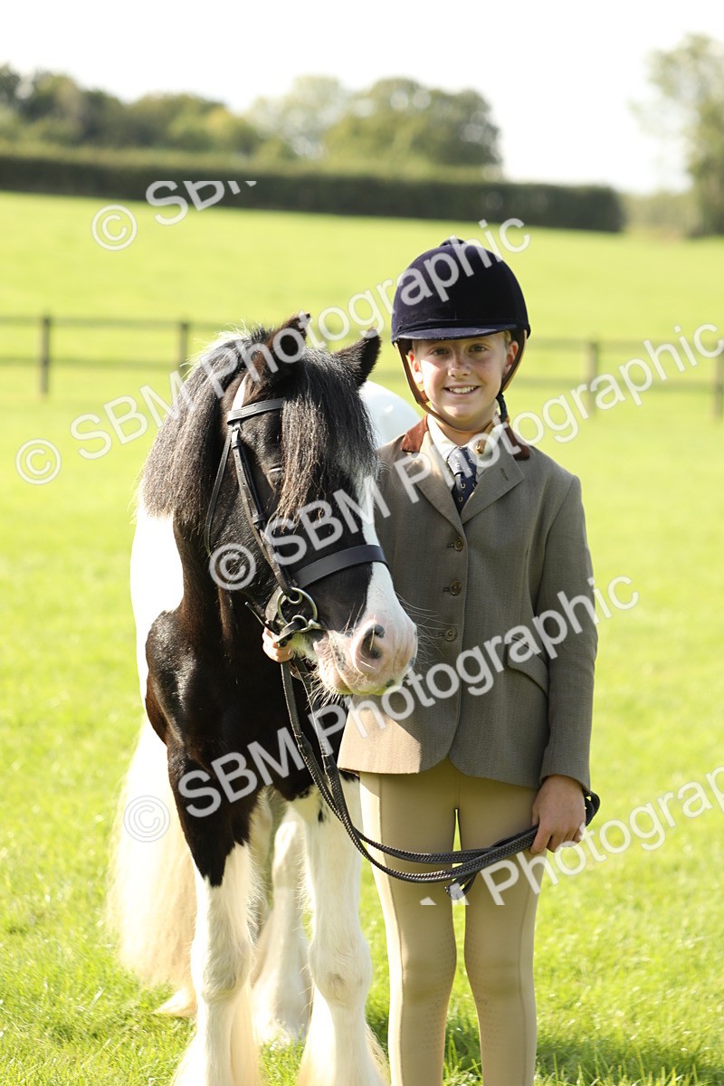 SBM_61022 - S43 - Coloured Pony In Hand