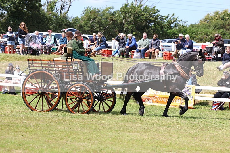 3E7A2687 - Class 12: Open Driving