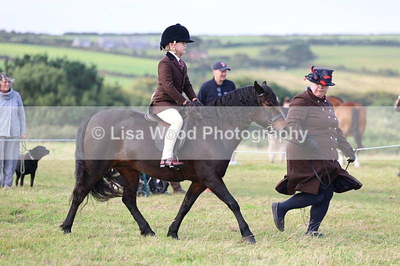 3E7A3406 - Class 2: Lead rein