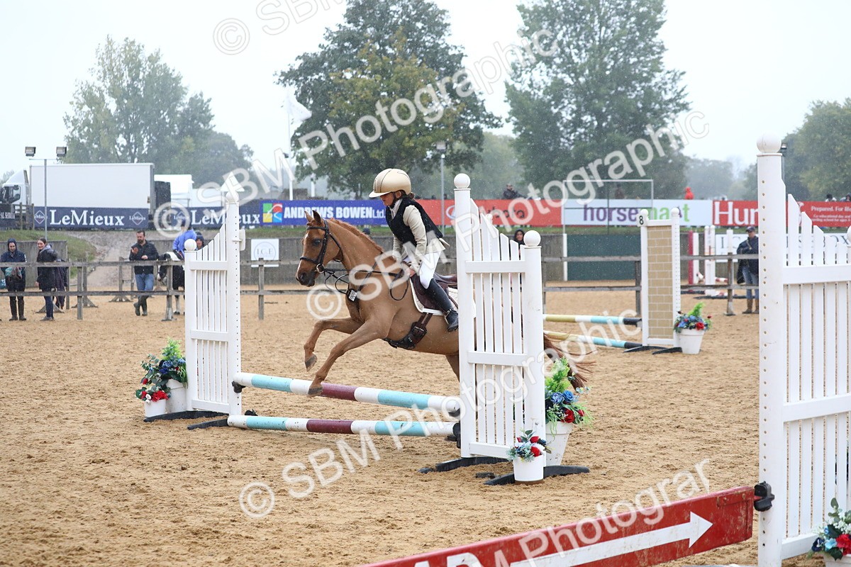 SBM_71737 - J4 - Mini Tour Junior Pony 45cm Championship