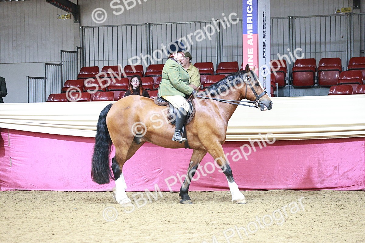 SBM_03112 - Class 5A - Area Ridden Veteran