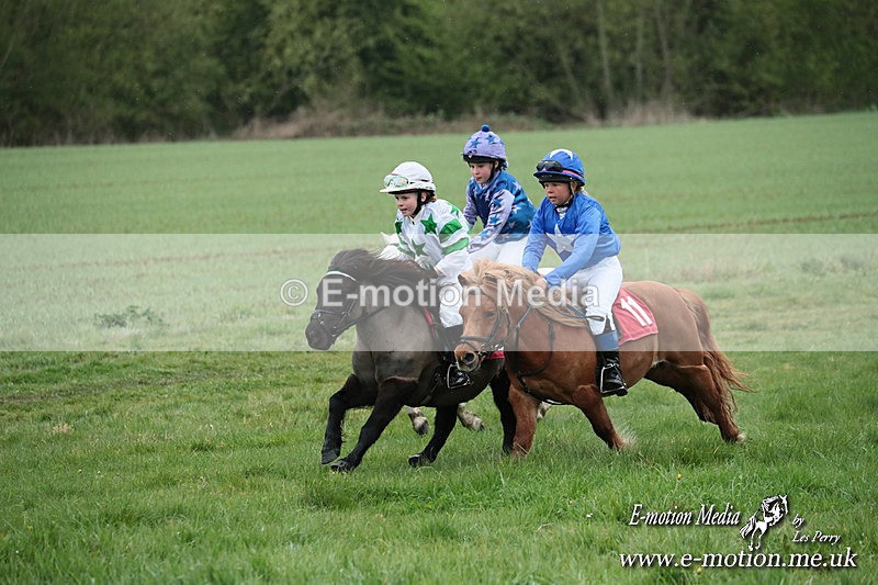 SHETPR 210425 192 - Shetland Ponies Paxford Races 21/04/25