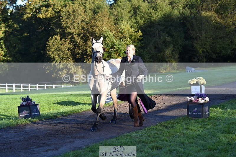 231022-090238-21524 - 619-GARVAGH.GOLDEN.OAK-Ella.Snow-TrotUp+SJ