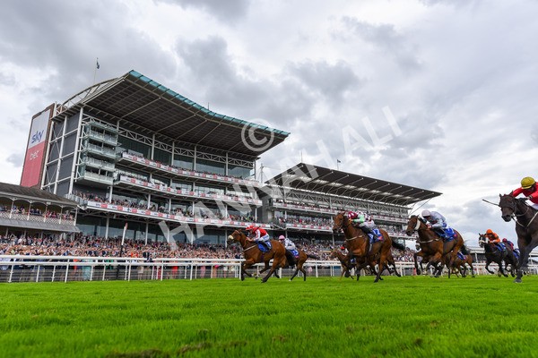 270724-Race 1-Night On Earth-1241 - Race 1 2.05pm Sky Bet 'Jump Jockeys' Nunthorpe' Handicap