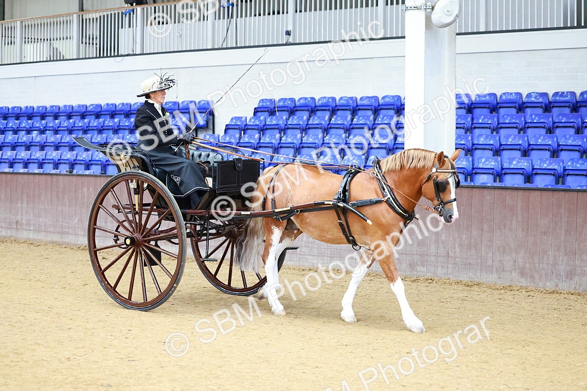 SBM_000003 - Class 1 - Non Hackney Private Drive 13.2hh and Under