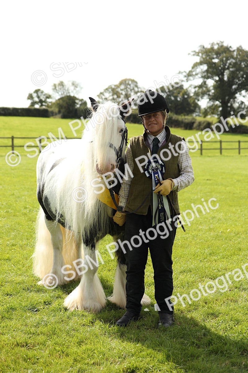 SBM_66363 - In Hand Pony & Youngstock Supreme Championship