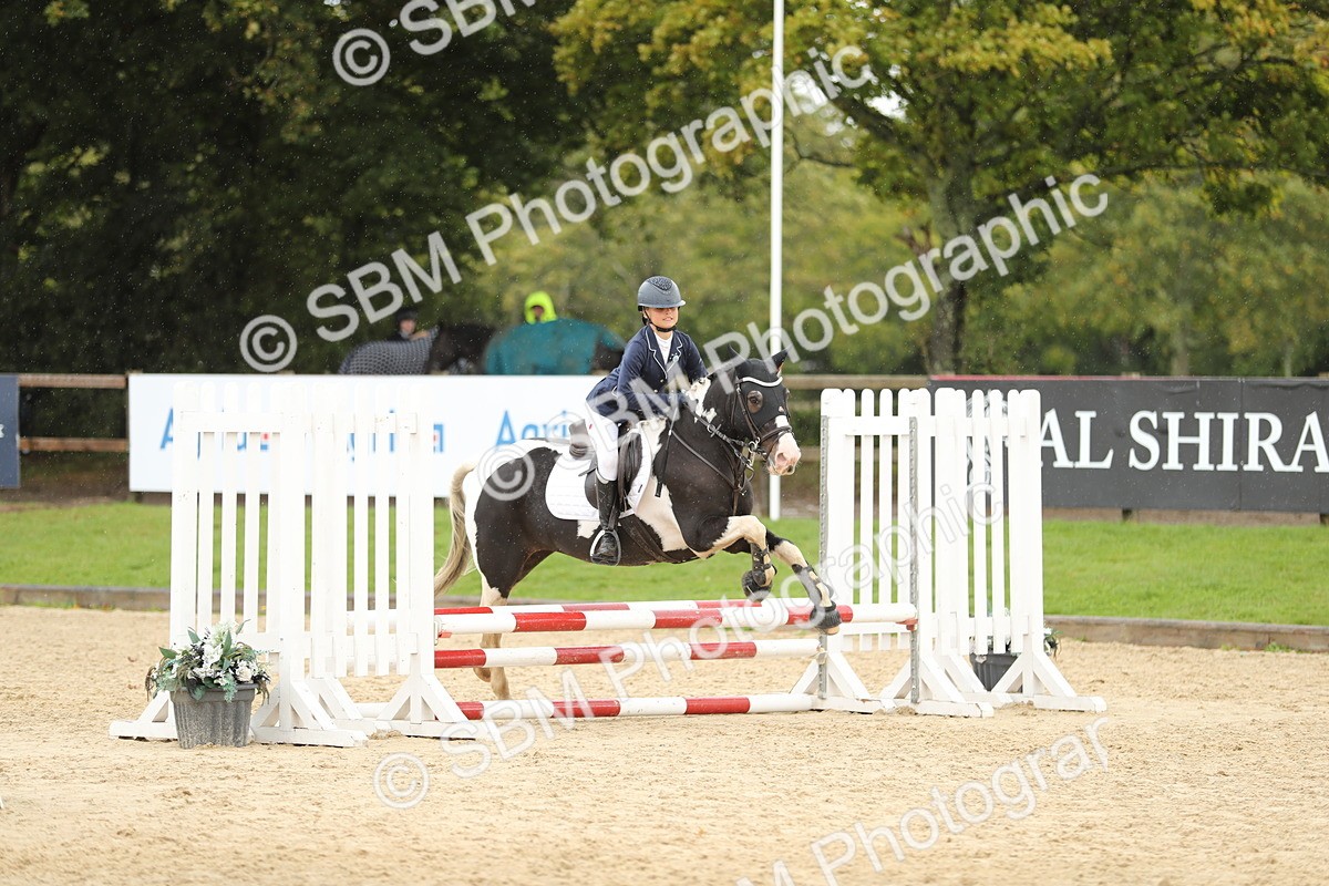 SBM_40401 - J21 - Junior Horse 60cm Championship