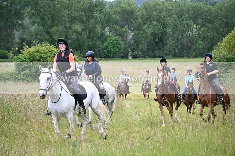 WJ6_8413 - Camera 1 Gallops