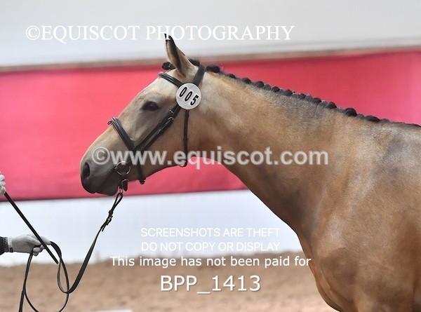 BPP_1413 - MORNING 9AM - 12PM