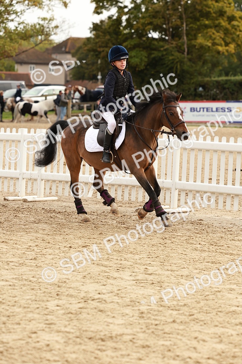 SBM_57792 - J11 - Junior Pony 50cm Championship