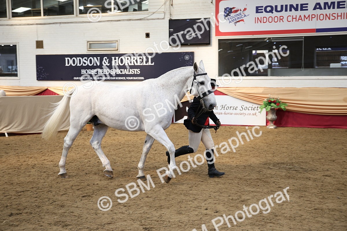 SBM_24741 - Class 906 - Supreme Final - Ridden Pre Vet