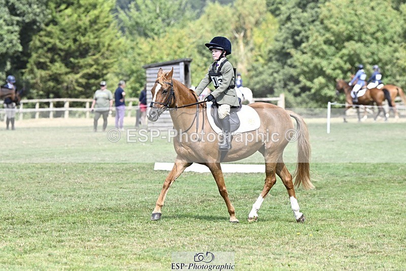 250822A-121203-22613 - DR 11.00 to 12.00