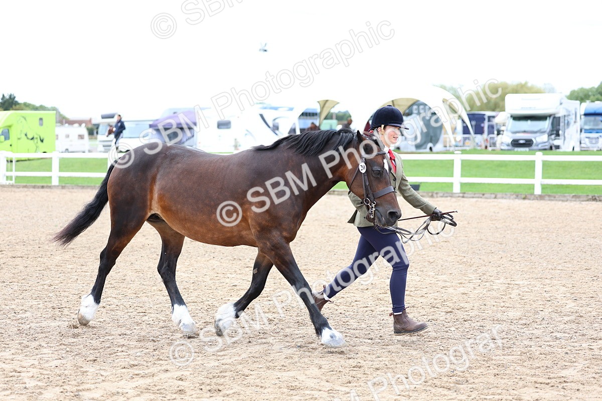 SBM_01297